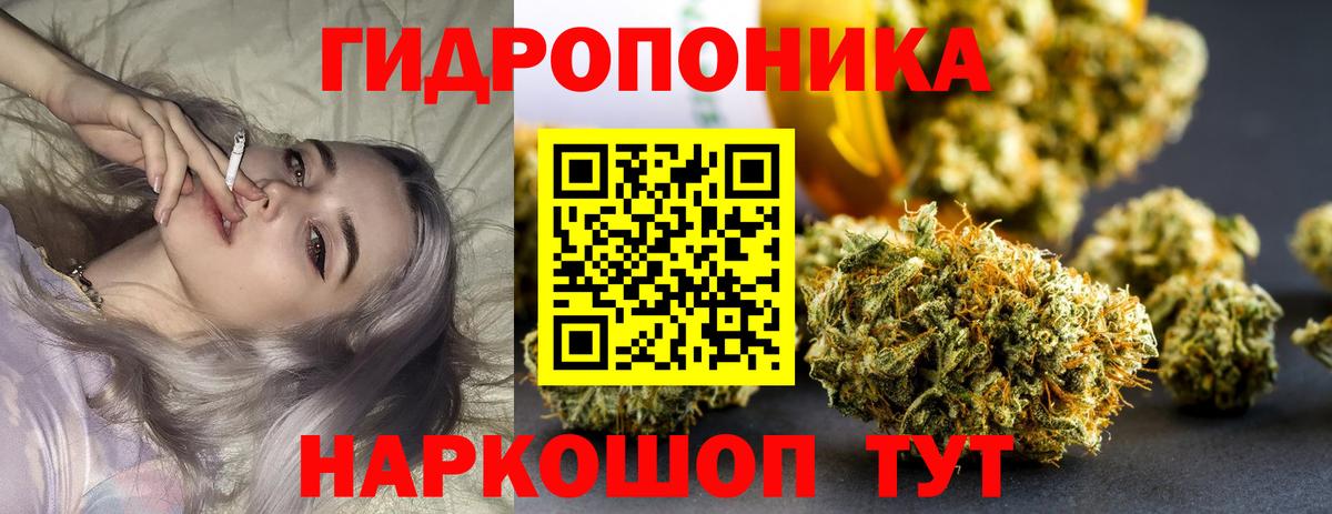 Кизляр  Канабис тримм  Шишки марихуана гибрид  Вход с VPN  Шишки марихуана гибрид 